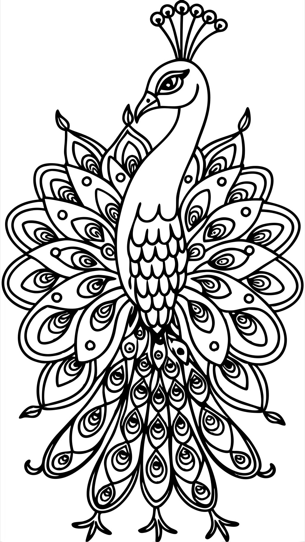 peacock coloring book pages